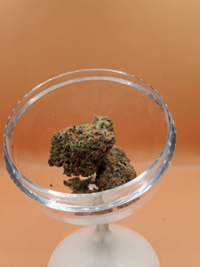 Champagne Kush - Hybrid 14g THC 19-24%
