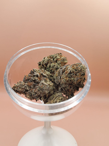 Chocolope - Sativa 14g THC 25-30%