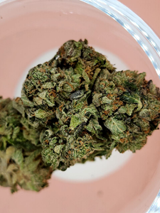 Pine Tar - Indica 7g THC 19-24%