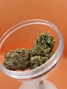 Durban Poison - Sativa 7g THC 25-30%