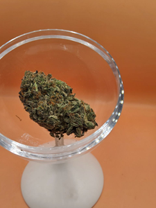 Hash Plant - Indica 7g THC 23-28%