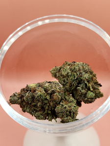 Guava - Sativa 7g THC 22-27%