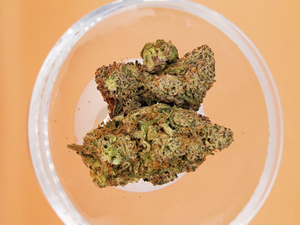 Grapefruit Haze - Sativa 7g THC 21-26%