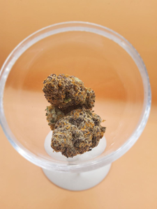 Cherry Kush - Hybrid 7g THC 21-26%