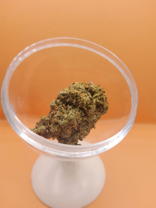 Sunset Sherb - Hybrid 7g THC 22-27%